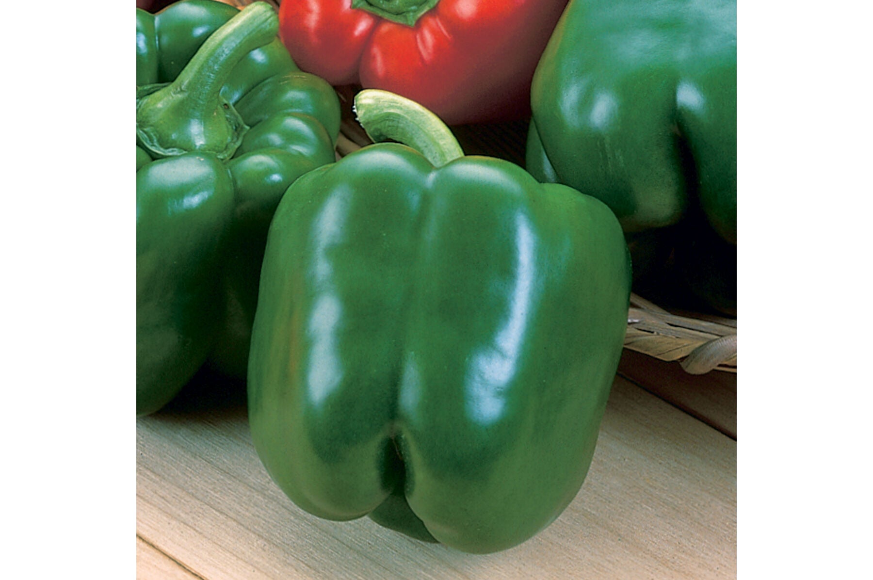 Green Machine – Bell Pepper Seed